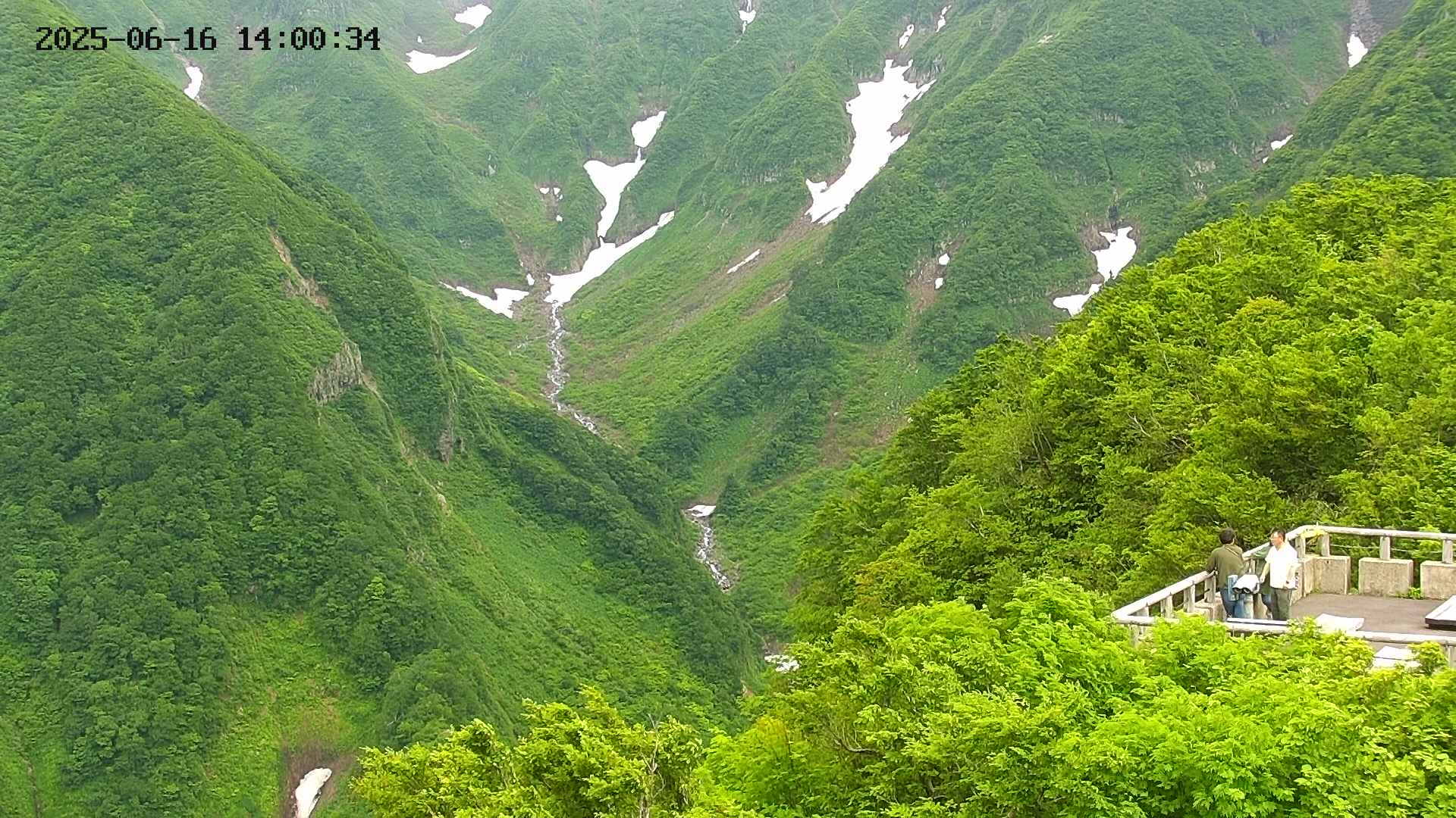 naso20250616140036.jpg