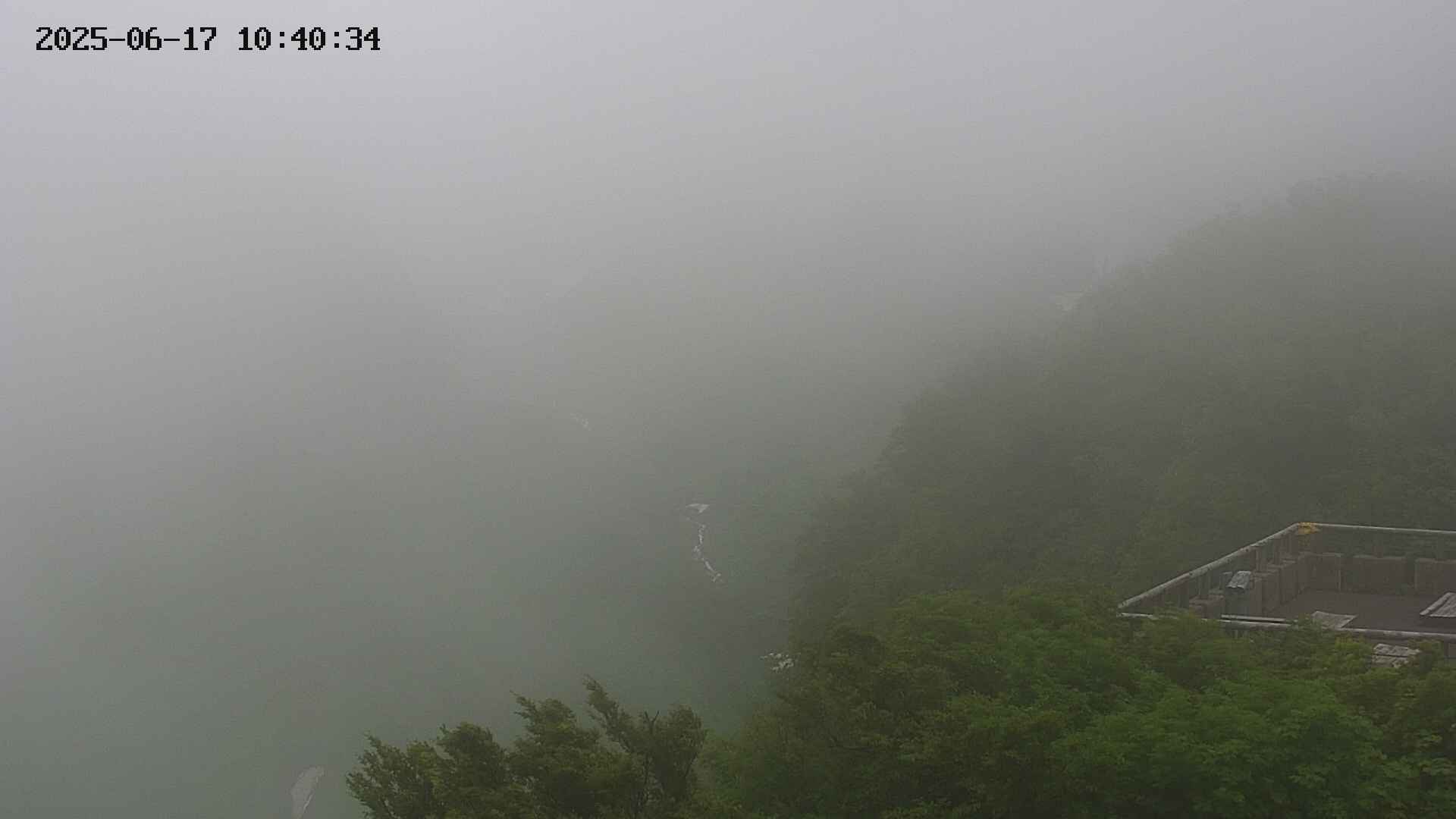 naso20250617104035.jpg