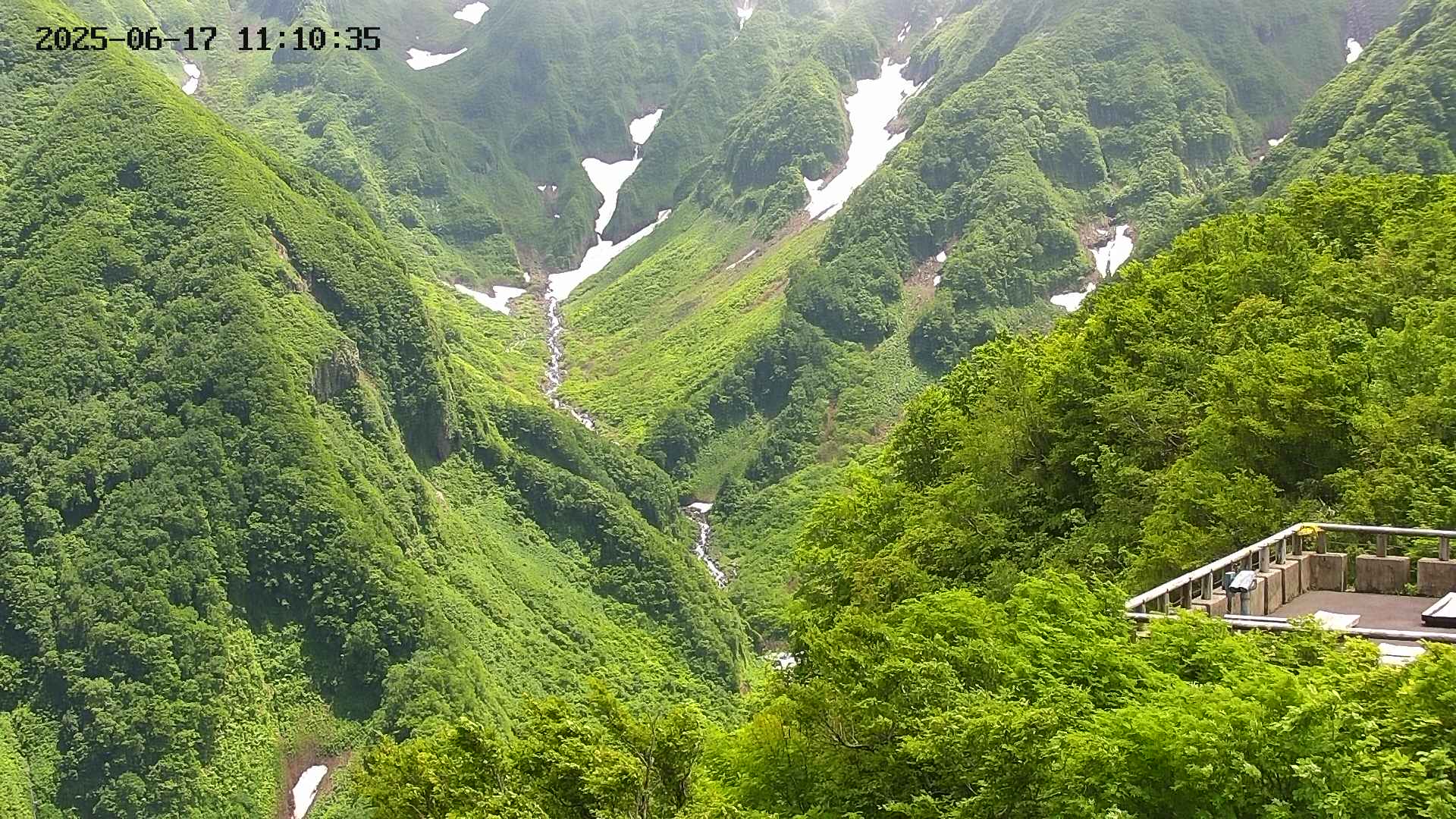 naso20250617111036.jpg