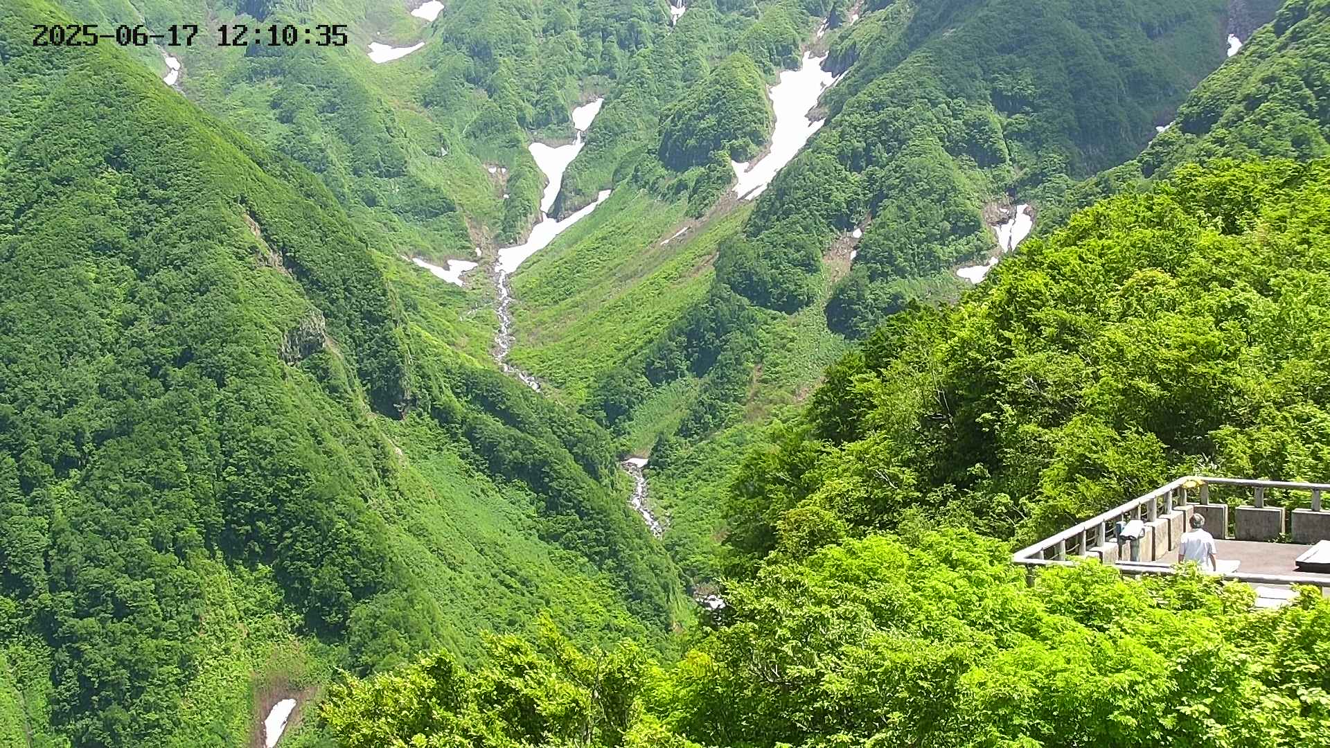naso20250617121037.jpg