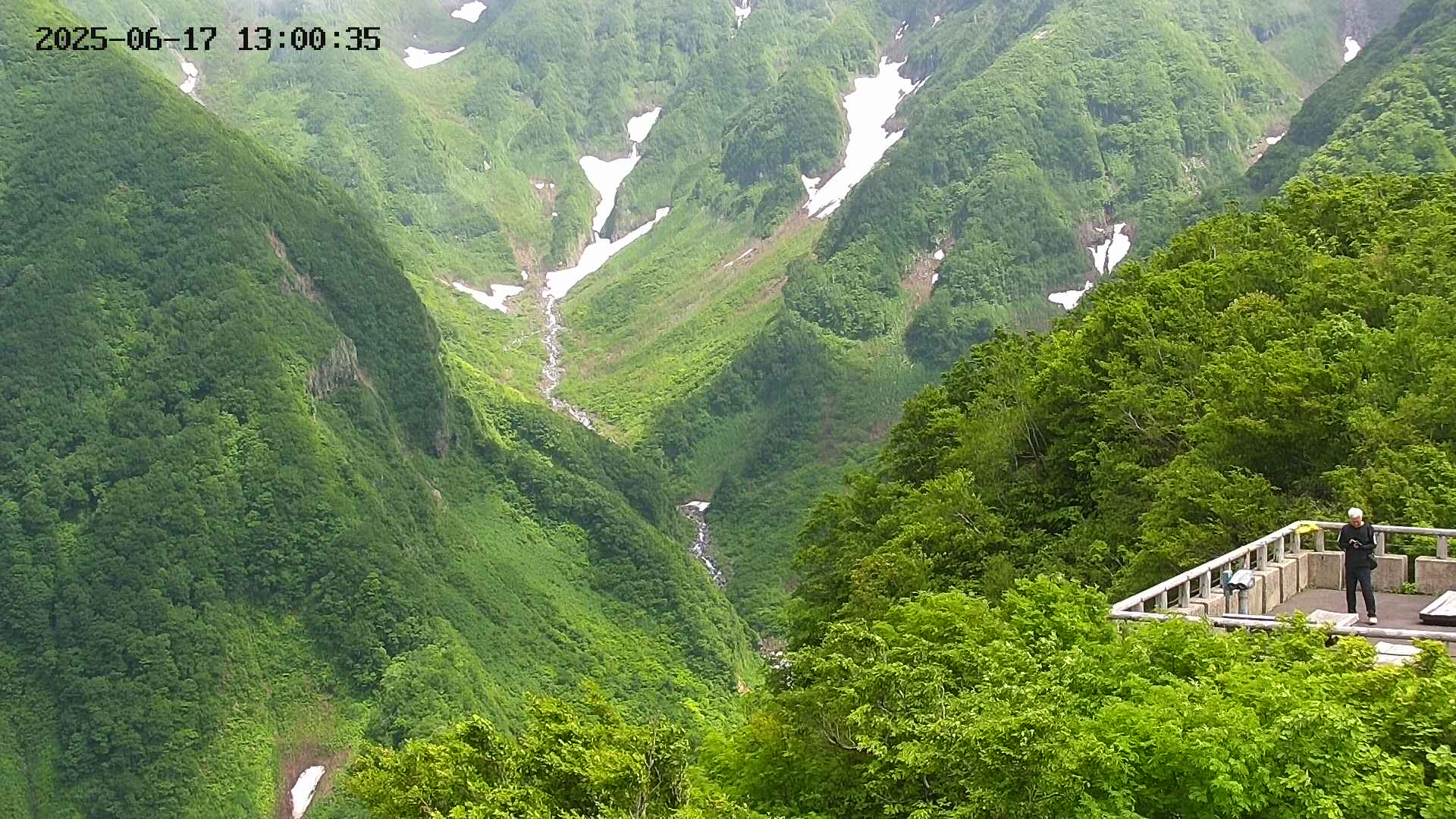 naso20250617130036.jpg