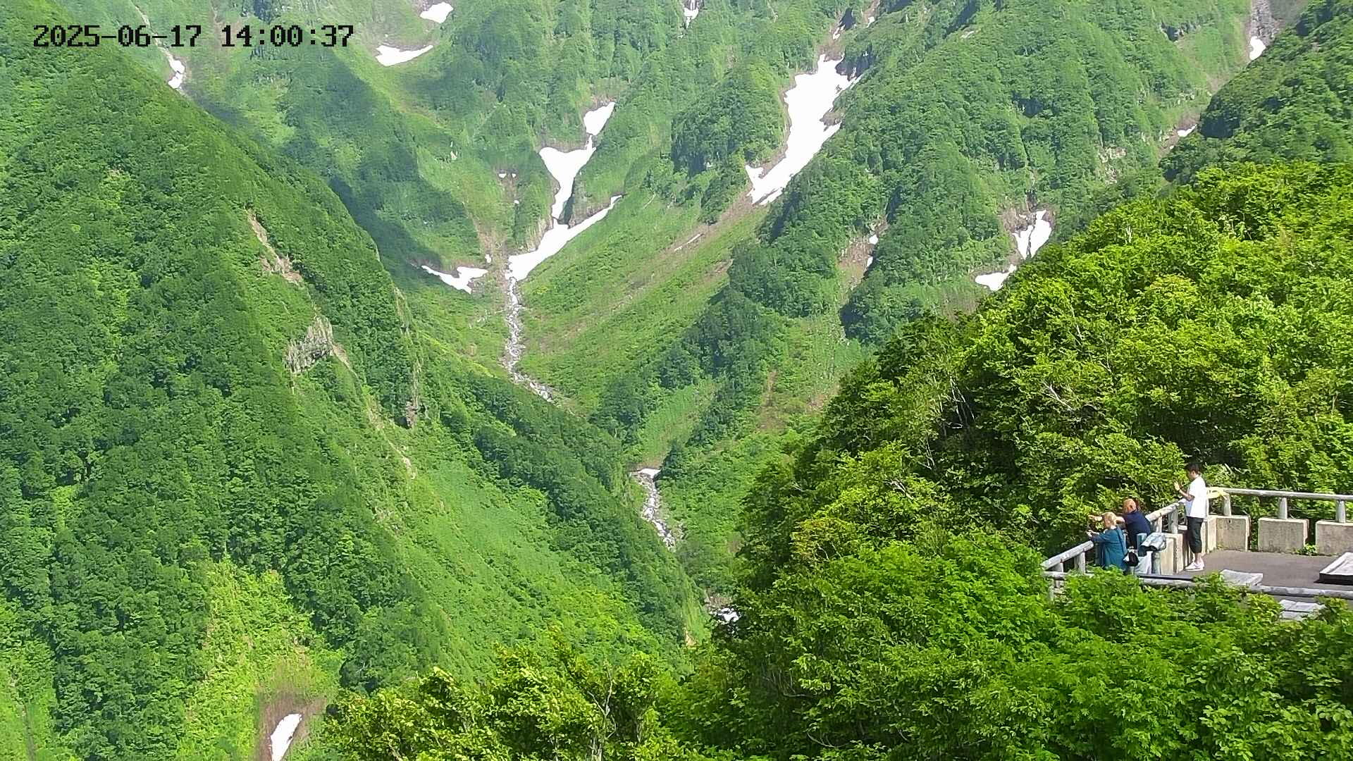 naso20250617140038.jpg