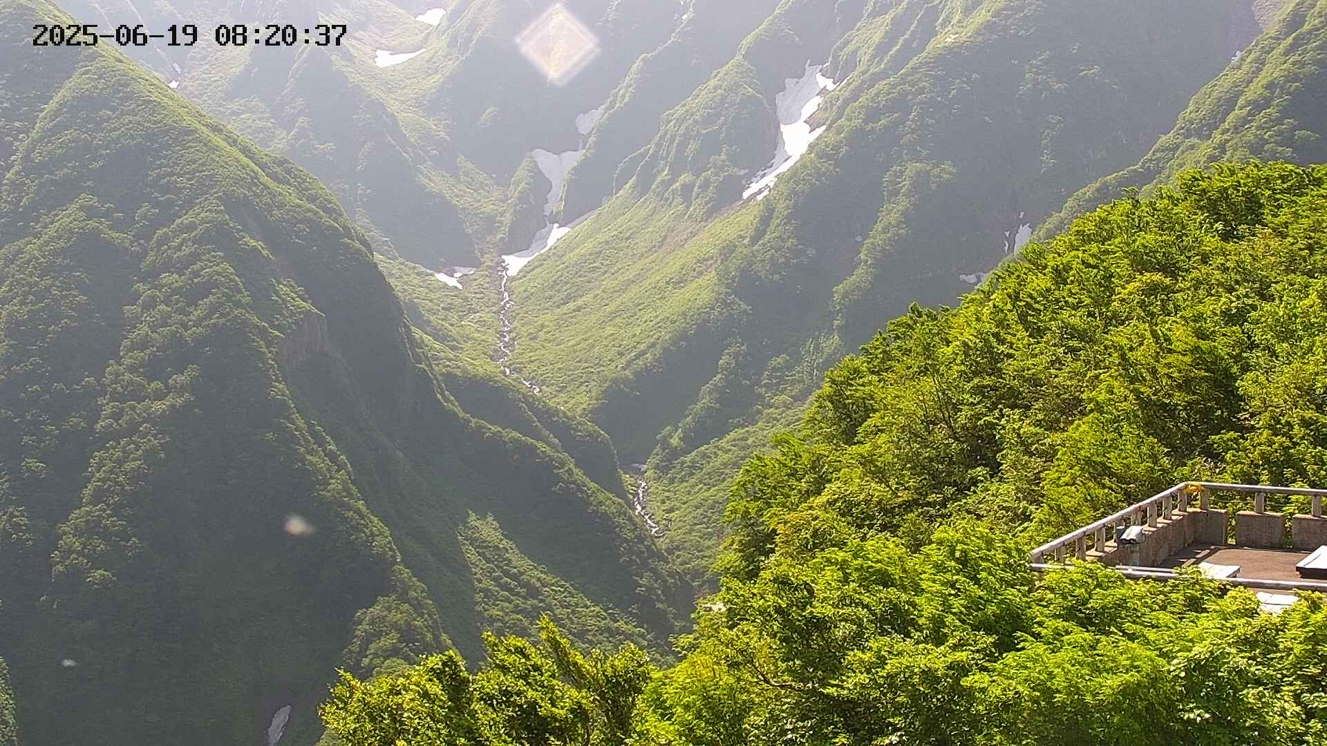 naso20250619082038.jpg