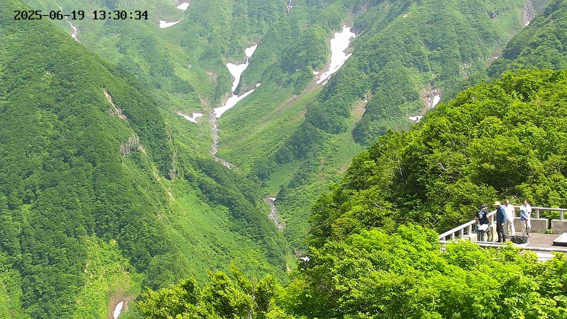 naso20250619133036.jpg
