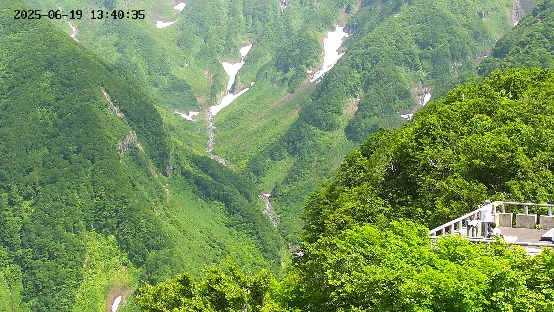 naso20250619134037.jpg