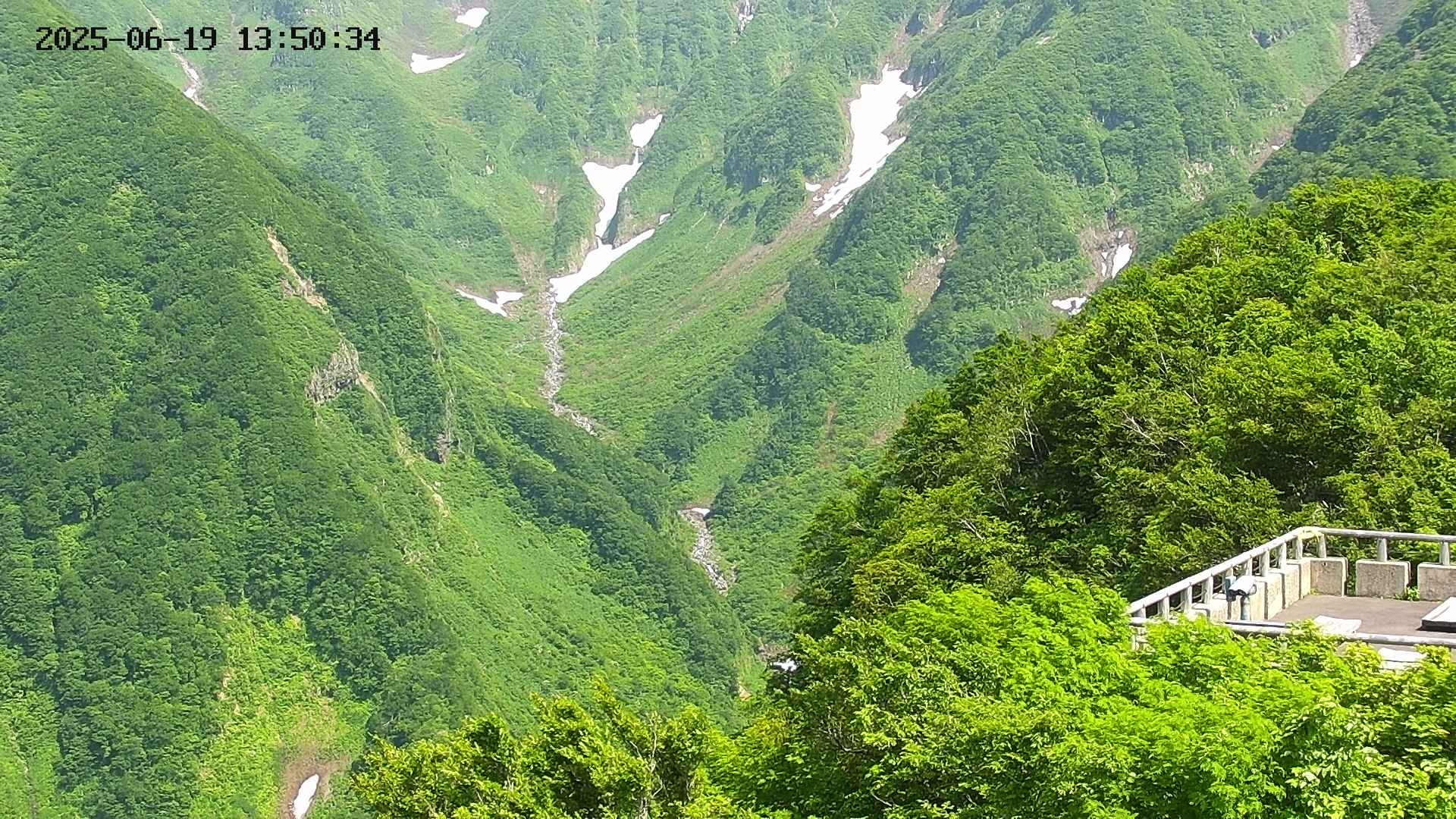 naso20250619135036.jpg
