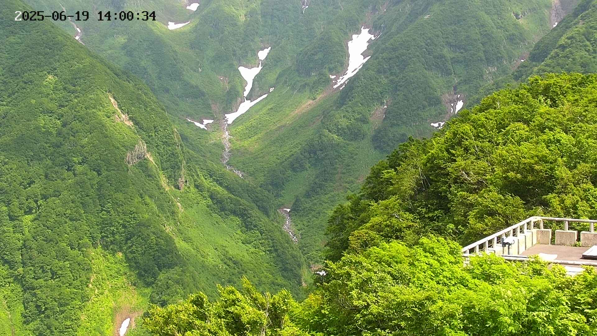 naso20250619140036.jpg