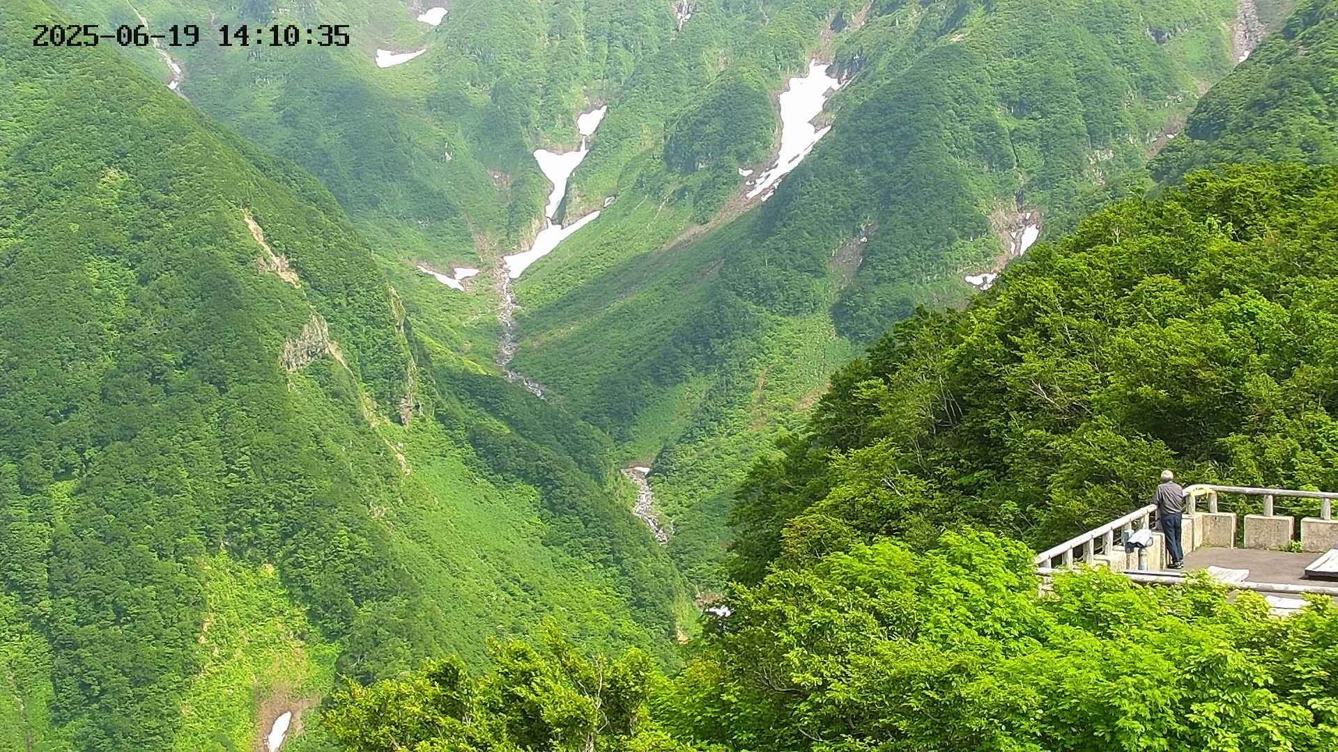 naso20250619141037.jpg