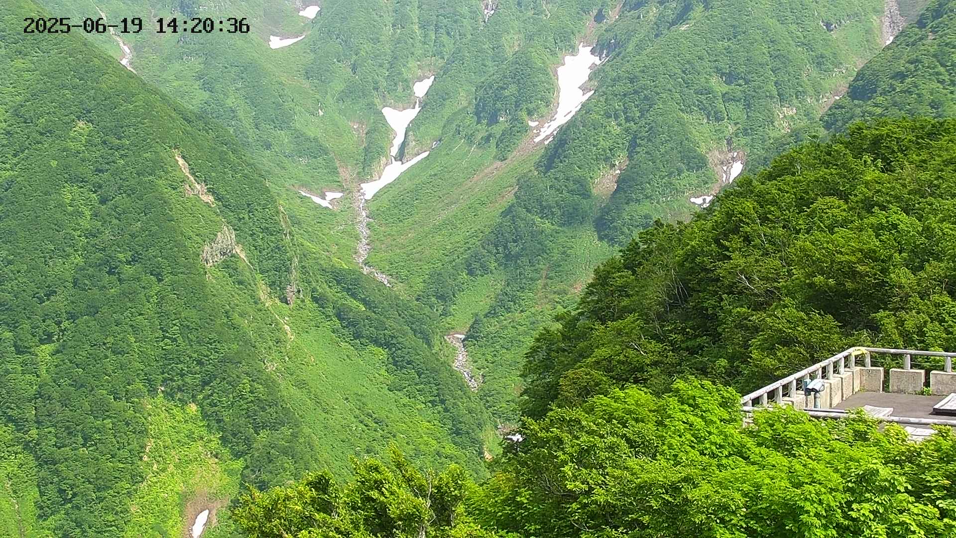 naso20250619142038.jpg