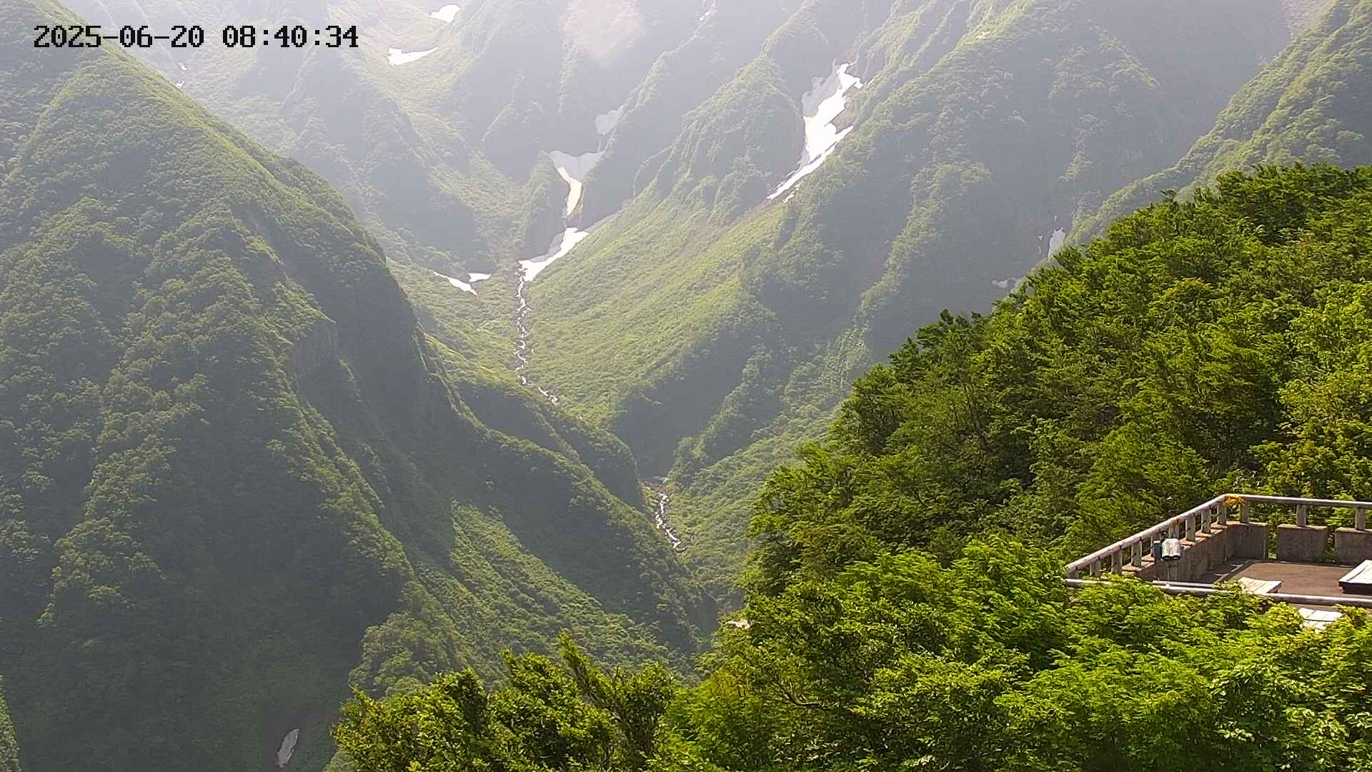 naso20250620084037.jpg
