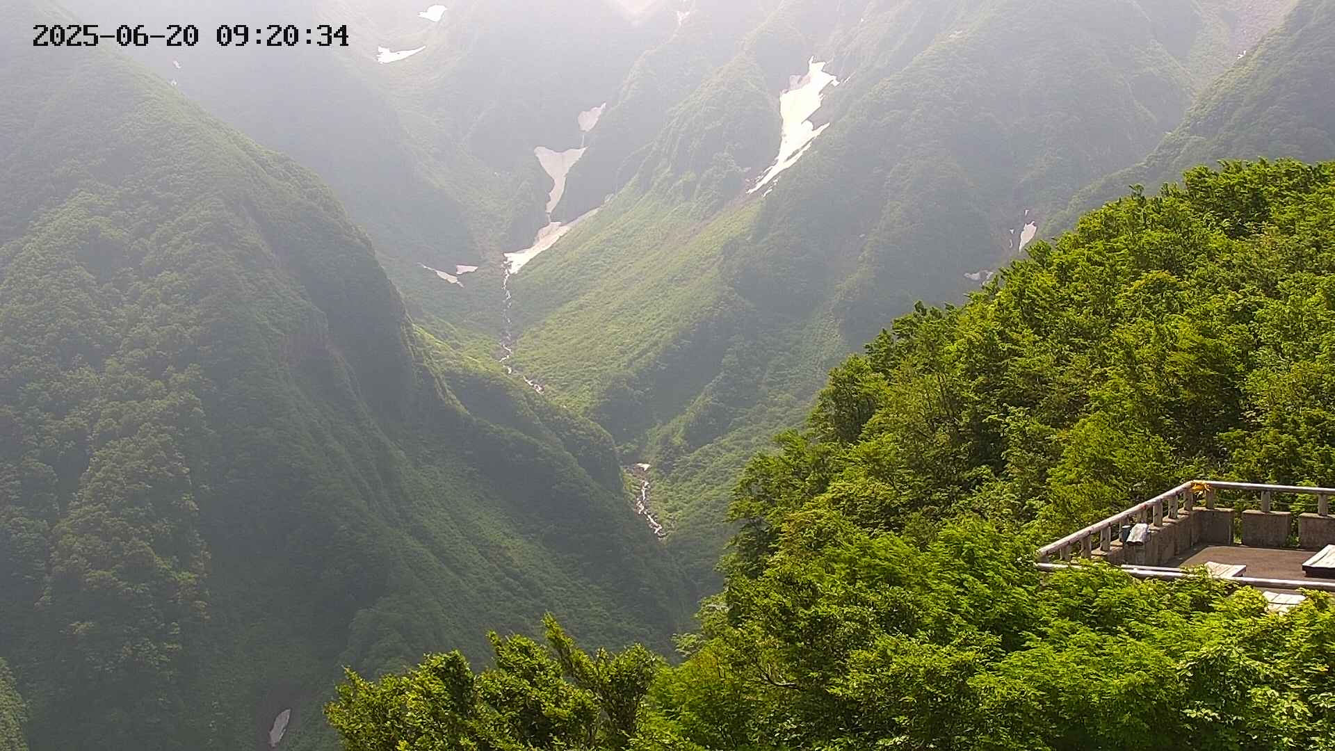 naso20250620092035.jpg