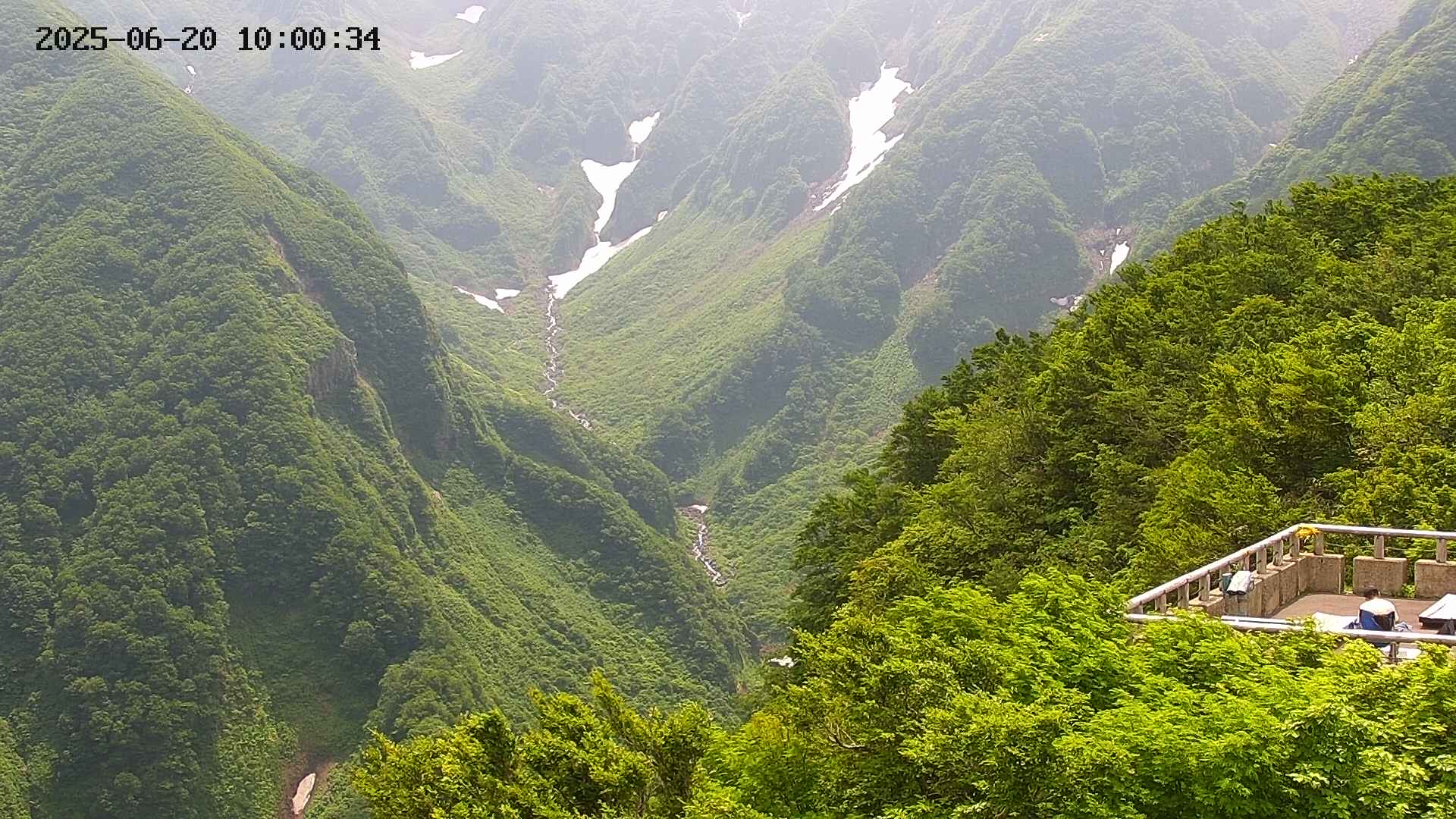 naso20250620100035.jpg