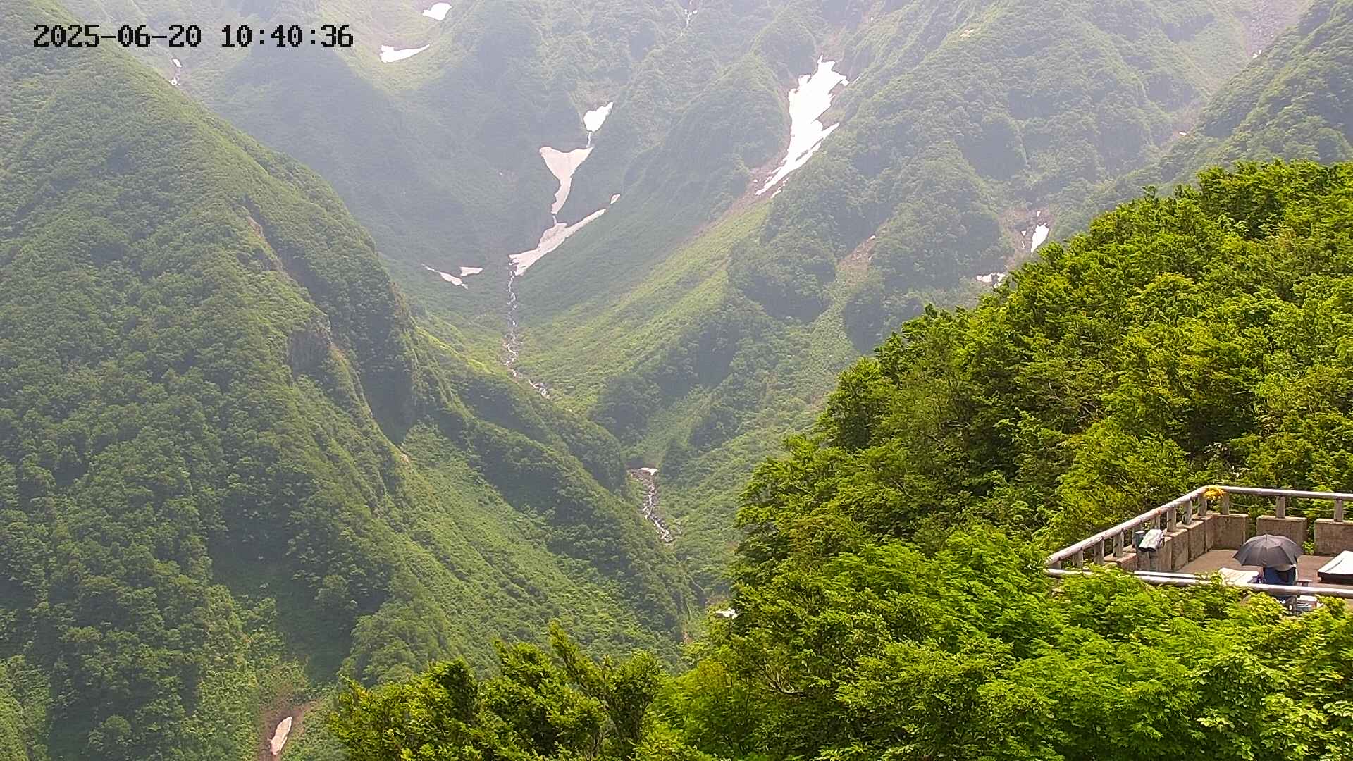 naso20250620104037.jpg
