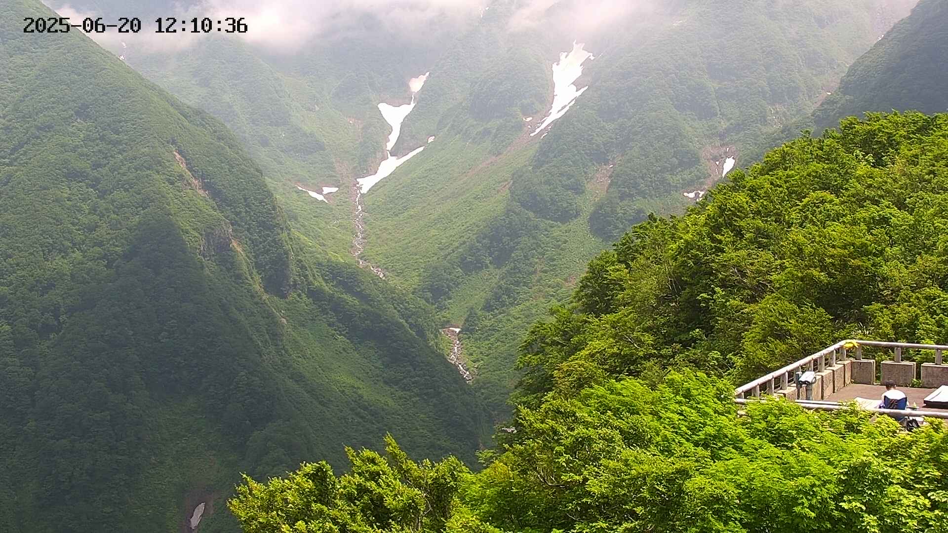 naso20250620121037.jpg