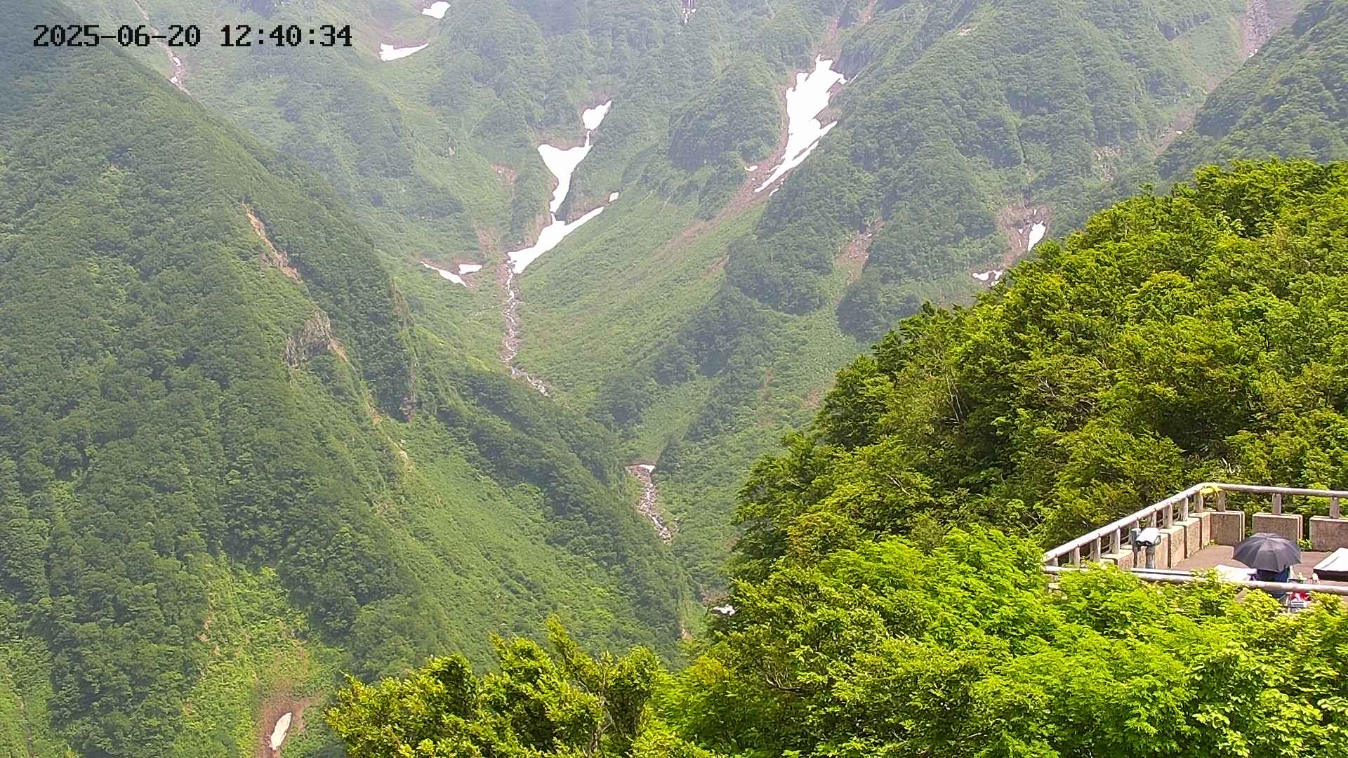 naso20250620124036.jpg