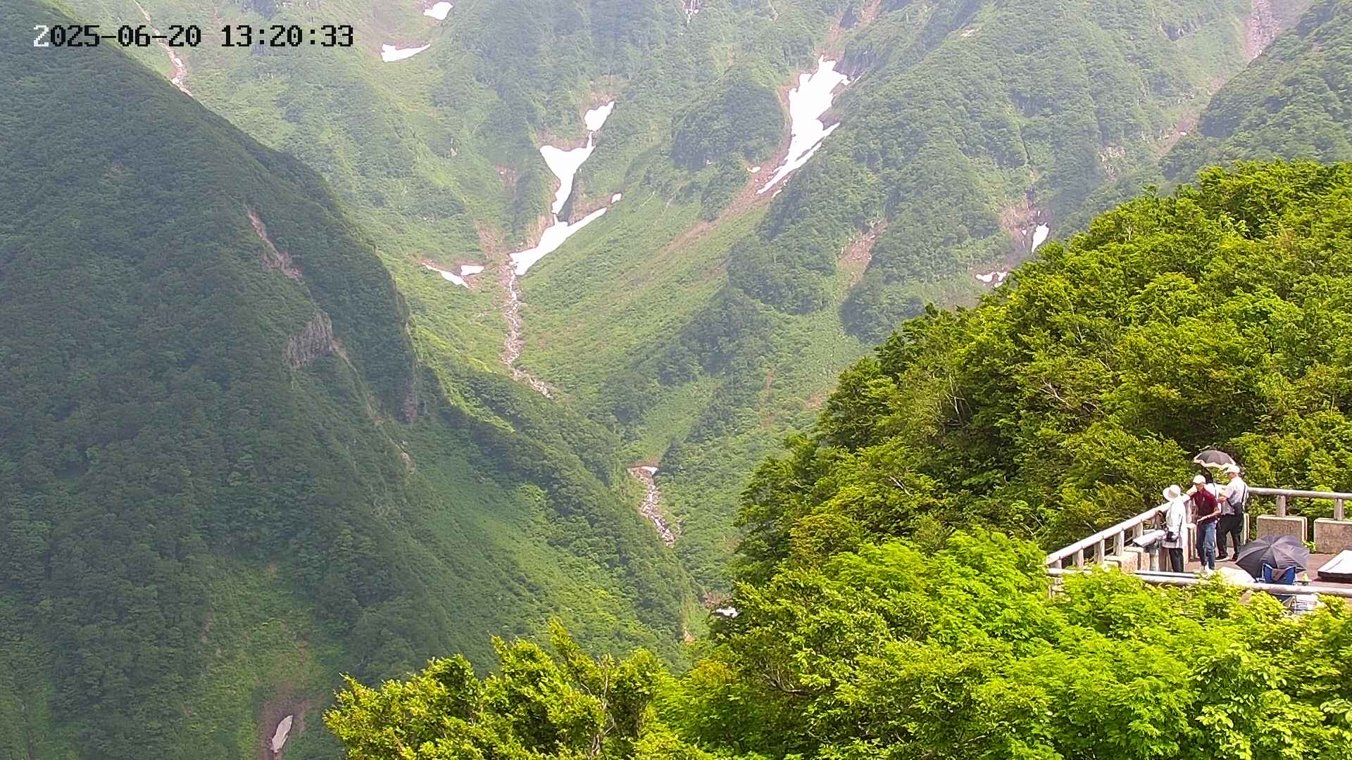 naso20250620132035.jpg