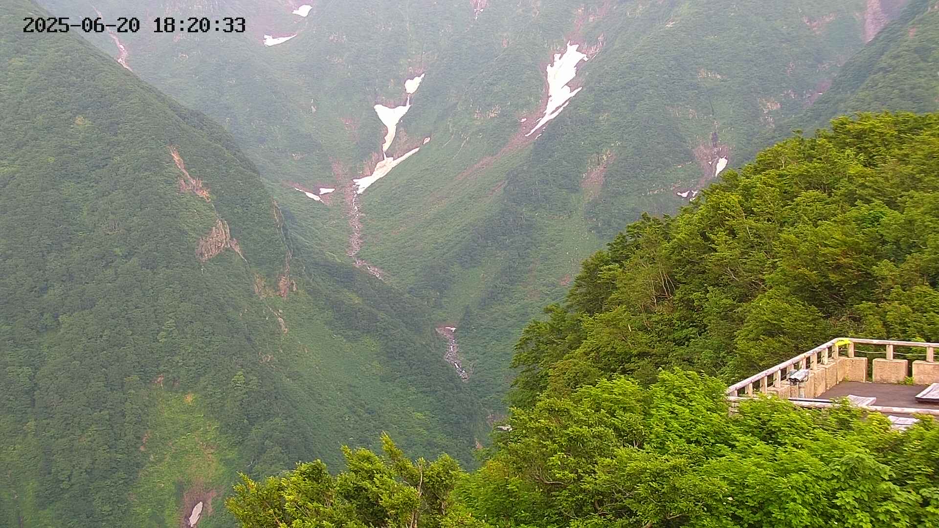 naso20250620182035.jpg