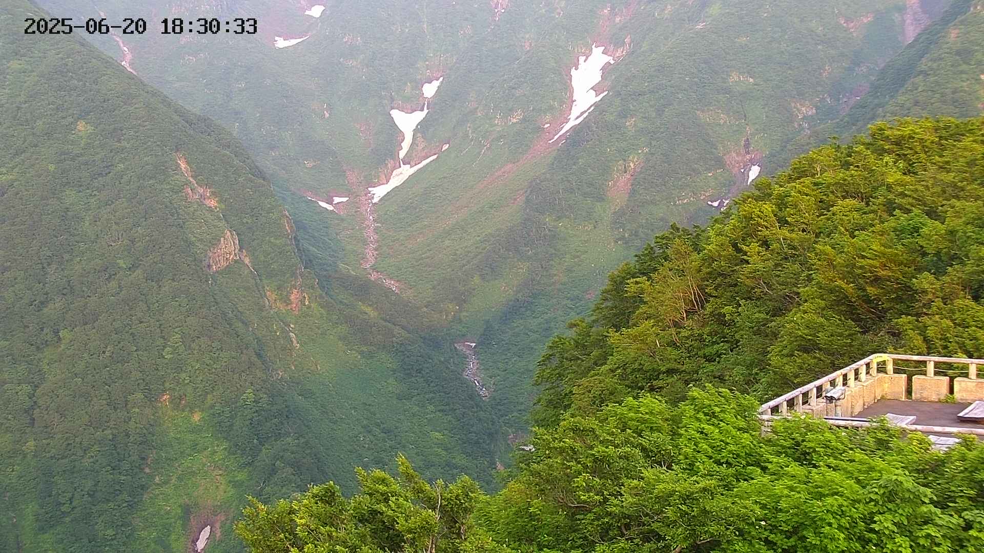 naso20250620183035.jpg