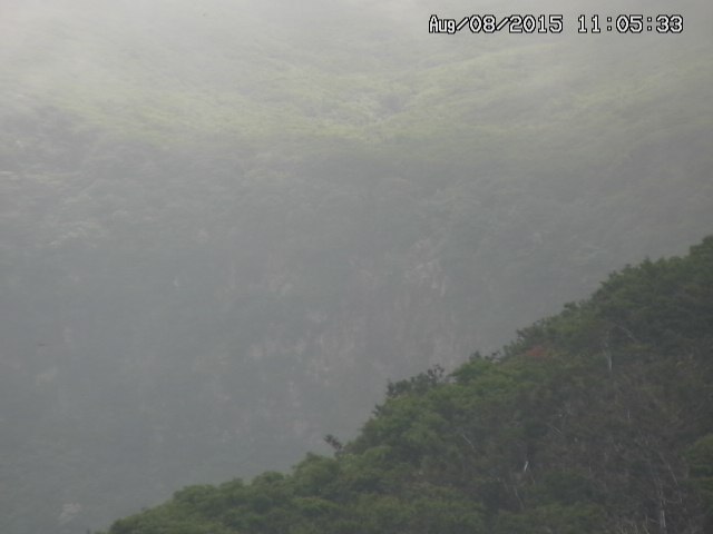 taki20150808110534.jpg