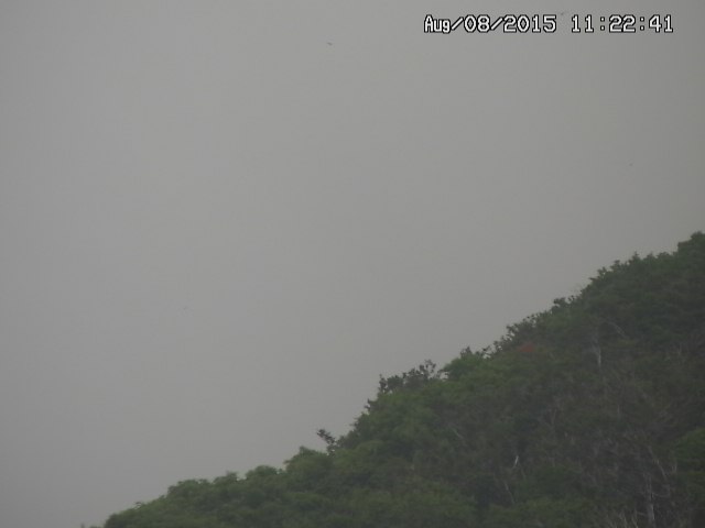 taki20150808112242.jpg