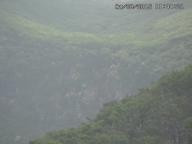 taki20150808114422.jpg