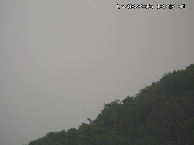 taki20150808134233.jpg