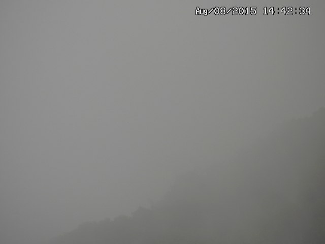 taki20150808144234.jpg