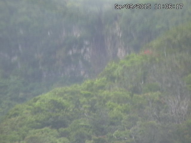 taki20150909110619.jpg