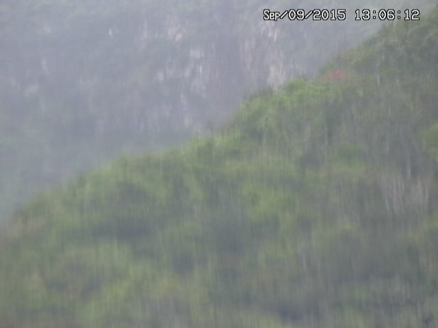 taki20150909130612.jpg