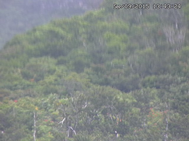 taki20150909134324.jpg