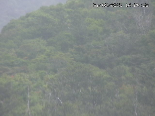 taki20150909142457.jpg