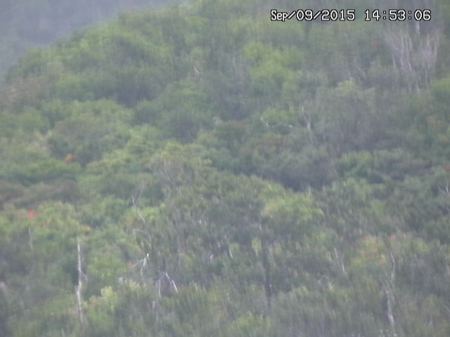 taki20150909145306.jpg