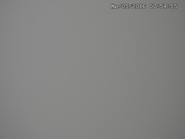 taki20160505075457.jpg