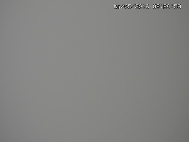 taki20160505082501.jpg