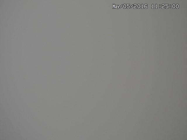taki20160505112503.jpg