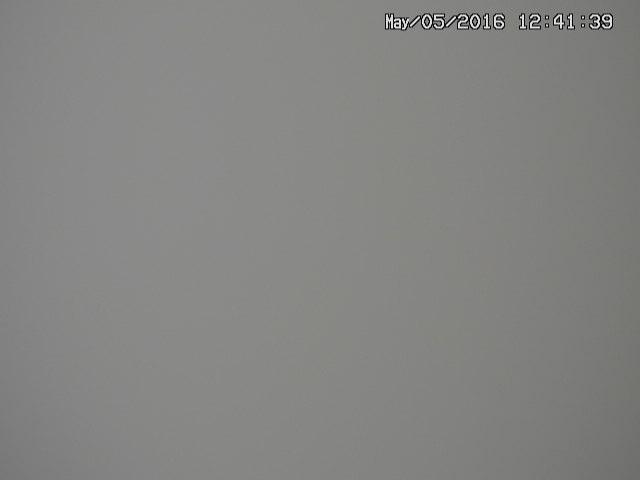 taki20160505124141.jpg