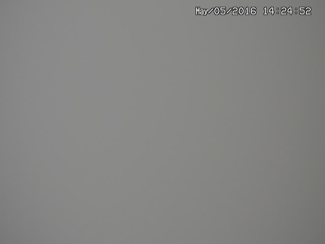 taki20160505142455.jpg