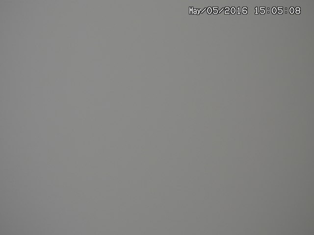 taki20160505150511.jpg