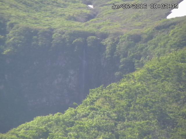 taki20160606080250.jpg