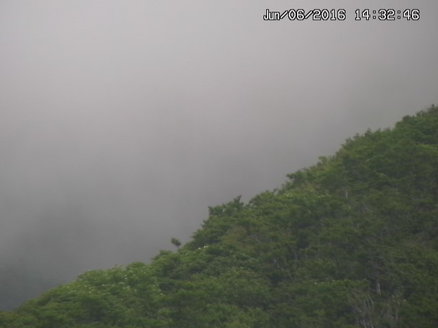 taki20160606143256.jpg