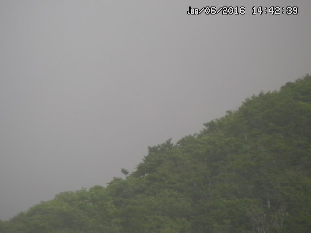 taki20160606144250.jpg