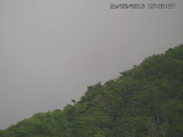 taki20160606150233.jpg