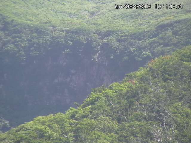 taki20160808131401.jpg