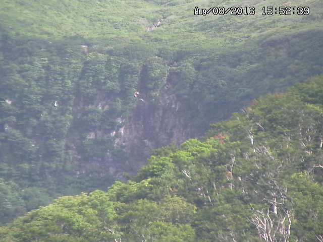 taki20160808155252.jpg