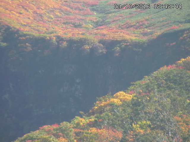 taki20161010124252.jpg