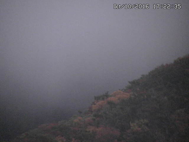 taki20161010172246.jpg