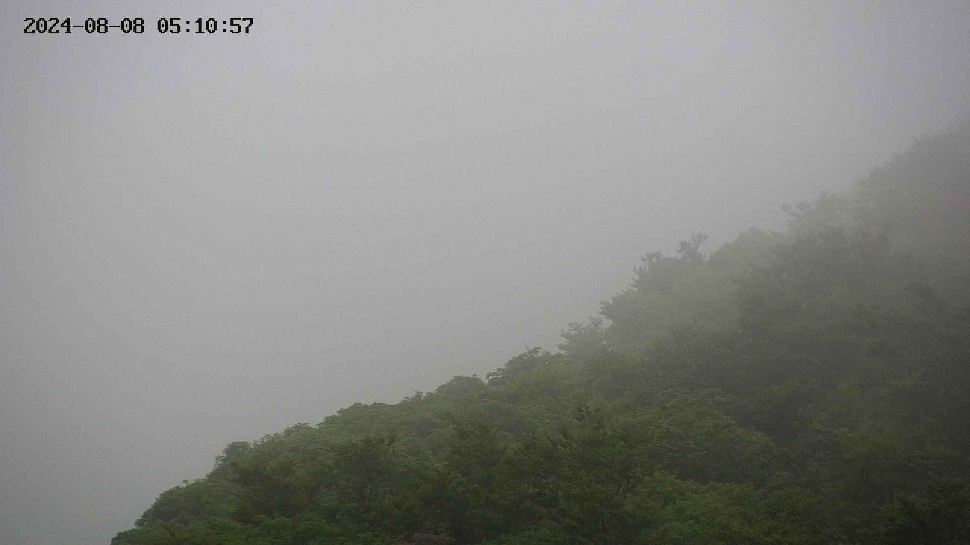 taki20240808051058.jpg