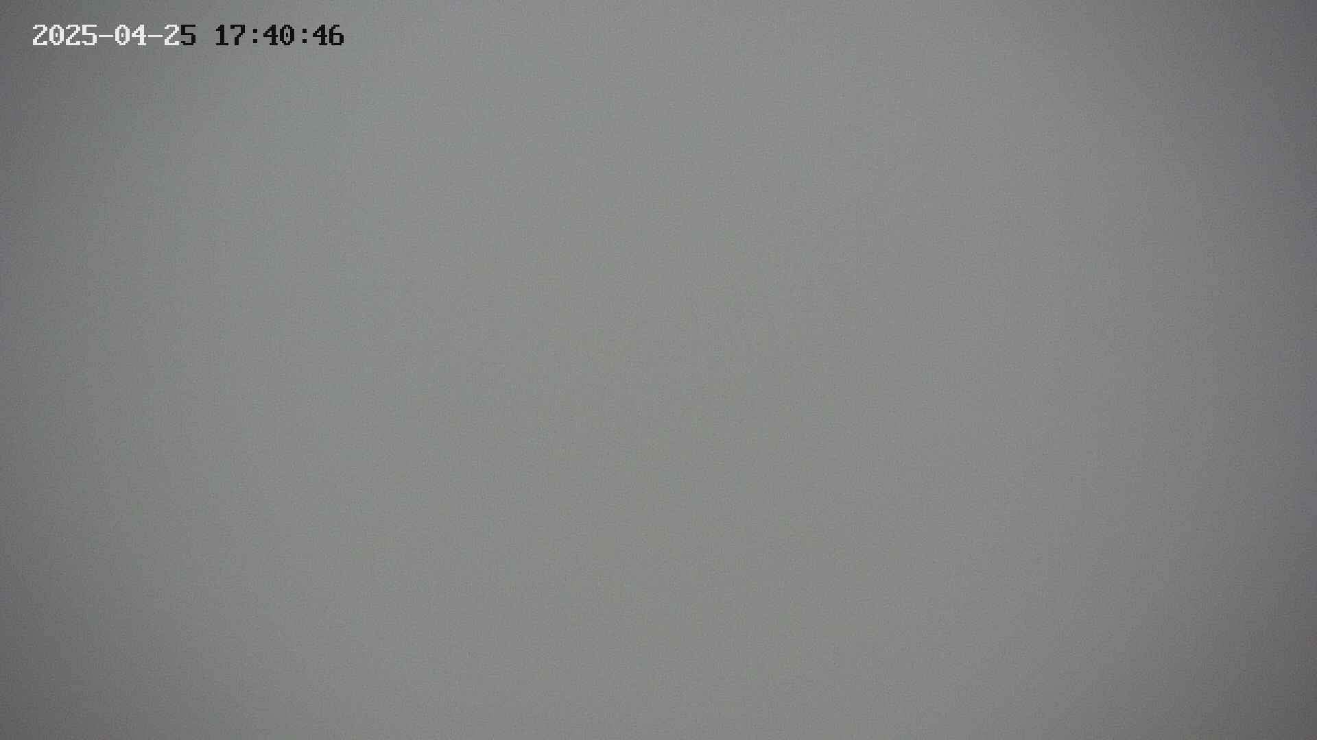 taki20250425174046.jpg