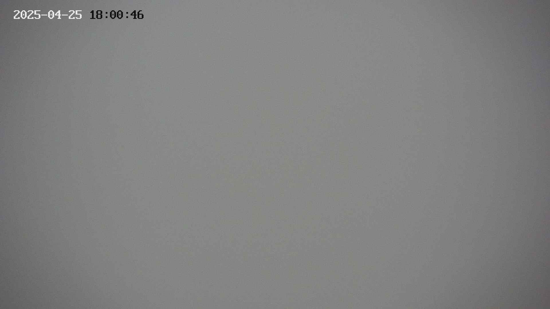 taki20250425180047.jpg
