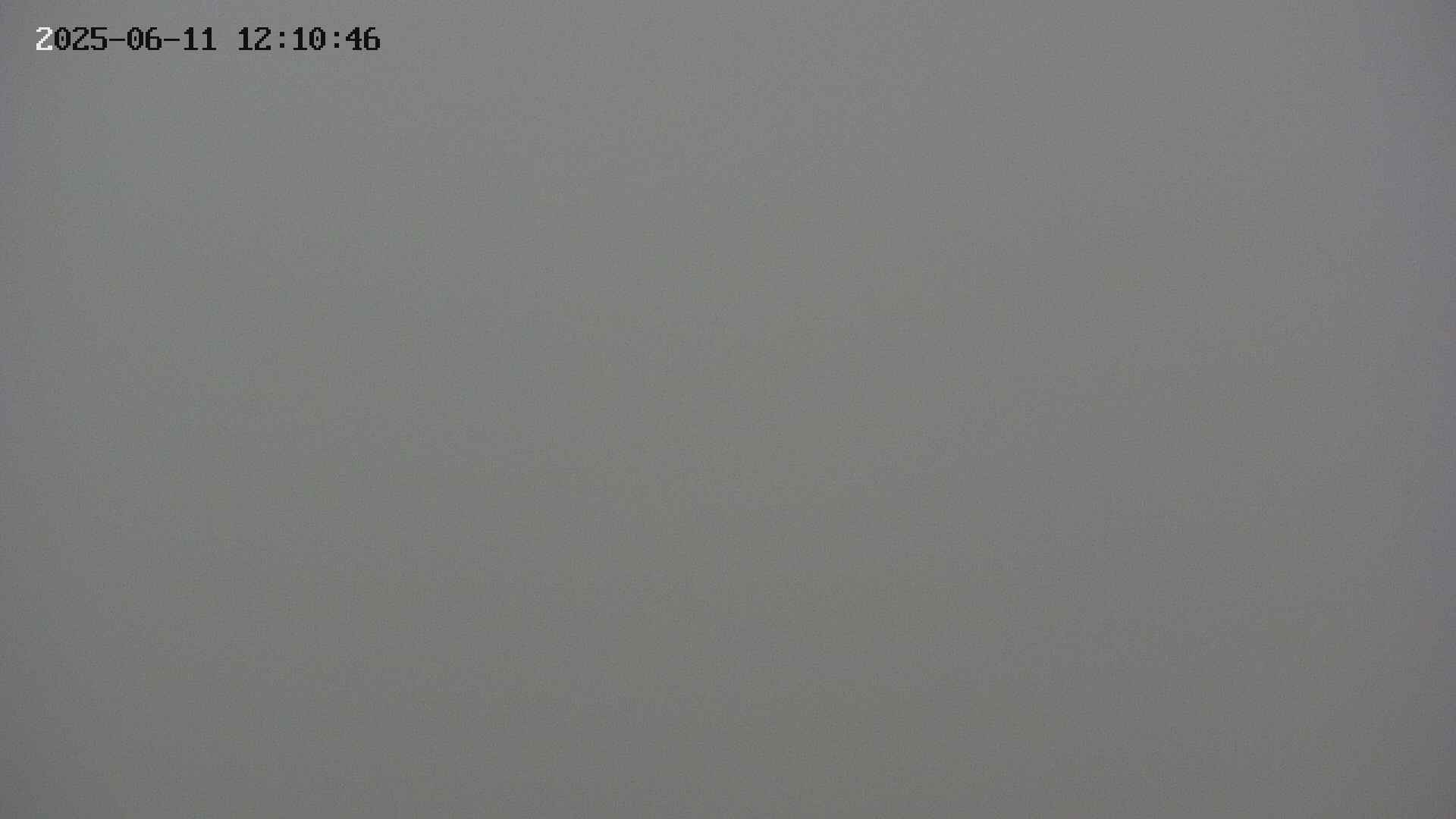 taki20250611121047.jpg